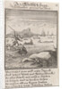 Whaling, Caspar Luyken by Anonymous