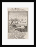 Whaling, Caspar Luyken by Anonymous