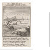 Whaling, Caspar Luyken by Anonymous