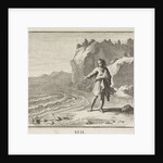 Emblem shells by Christoph Weigel