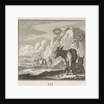 Emblem donkey by Christoph Weigel