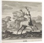 Emblem deer by Christoph Weigel