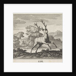 Emblem deer by Christoph Weigel