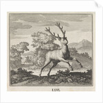 Emblem deer by Christoph Weigel