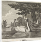 Emblem Swan by Christoph Weigel