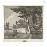 Emblem Swan by Christoph Weigel