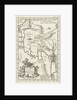Map of Ceylon by Jordaan Luchtmans