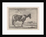 Single horse by G. Quineau