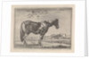 Single horse by G. Quineau
