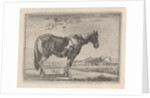 Single horse by G. Quineau