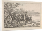 Goats at a vine by G. Quineau