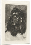 Head of a lion by Gerard Jan Bos