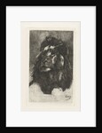 Head of a lion by Gerard Jan Bos