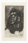 Head of a lion by Gerard Jan Bos