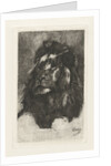 Head of a lion by Gerard Jan Bos