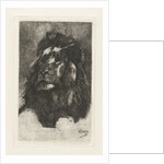 Head of a lion by Gerard Jan Bos