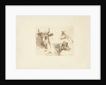 Three cow heads by Hendrik Stokvisch