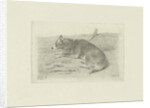 Lying dog from side by Frans Lebret