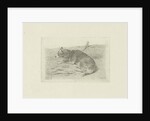 Lying dog from side by Frans Lebret
