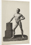 Academy Study standing naked man by Johannes Philippus Lange