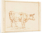 Bull standing by Ernst Willem Jan Bagelaar