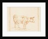 Bull standing by Ernst Willem Jan Bagelaar