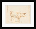 Bull standing by Ernst Willem Jan Bagelaar
