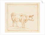 Bull standing by Ernst Willem Jan Bagelaar