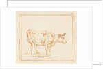 Bull standing by Ernst Willem Jan Bagelaar