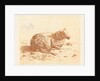 Lying Sheep by Ernst Willem Jan Bagelaar