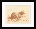 Lying Sheep by Ernst Willem Jan Bagelaar