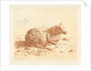 Lying Sheep by Ernst Willem Jan Bagelaar