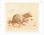 Lying Sheep by Ernst Willem Jan Bagelaar