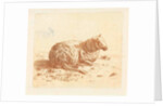 Lying Sheep by Ernst Willem Jan Bagelaar