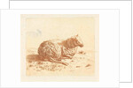Lying Sheep by Ernst Willem Jan Bagelaar