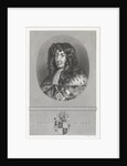 Portrait of Rupert by Peter Lely