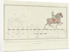Horse step trot with distances yardstick by Johannes le Francq van Berkhey