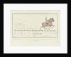 Horse step trot with distances yardstick by Johannes le Francq van Berkhey