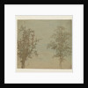 The two trees by Hercules Segers