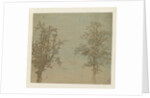 The two trees by Hercules Segers