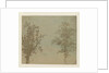 The two trees by Hercules Segers