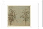 The two trees by Hercules Segers