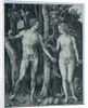 Adam and Eve by Albrecht Dürer