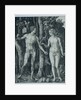 Adam and Eve by Albrecht Dürer