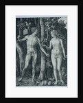 Adam and Eve by Albrecht Dürer