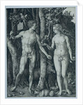 Adam and Eve by Albrecht Dürer