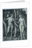 Adam and Eve by Albrecht Dürer