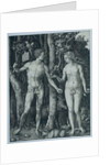 Adam and Eve by Albrecht Dürer