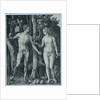 Adam and Eve by Albrecht Dürer