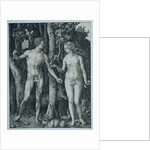 Adam and Eve by Albrecht Dürer